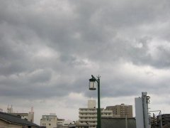 ブログを更新しました。