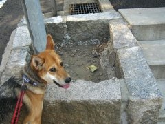 ブログを更新しました。