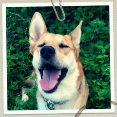 ブログを更新しました。
