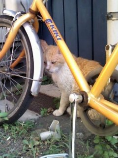 ブログを更新しました。