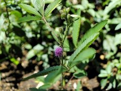 ブログを更新しました。