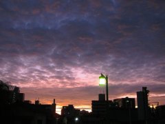 ブログを更新しました。