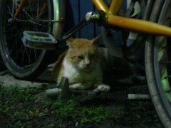  ブログを更新しました。