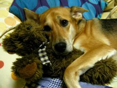 ブログを更新しました。