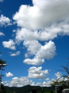 ブログを更新しました。