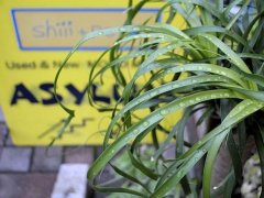 ブログを更新しました。