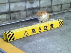 ブログを更新しました。