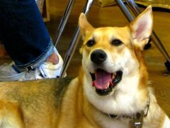 ヒナの大好きな月曜日♪