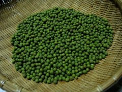 初めて作りました♪　山椒の醤油漬け