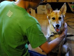 新色 LIFE Tee ！「Asparagus（アスパラガス）」