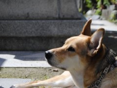 月曜日が3週連続雨の訳・・・？？