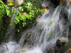 昨日はお墓参り、そして・・・