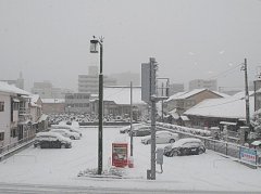 とうとうやってきた！、初雪かき、こだわりの美学。