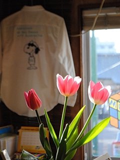 増税前の悪あがき♪