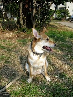 導かれた？3連休、目に見えない力、そして春が来た新潟