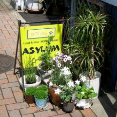 色めいてきたぞ！