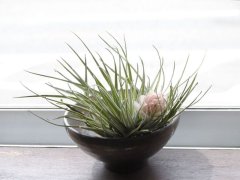 母の日♪　そして『ゾロ目「666666」！』ご協力ありがとうございました！