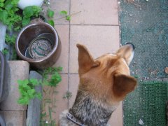 ブログを更新しました。