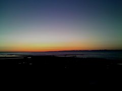 日和浜・日和山、楽しめそうな下町ライフ、この時期は柿！