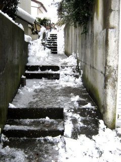 お茶箱の中からプレゼントだぁ〜♪、昨晩からの雪、ヒナはピョンピョン