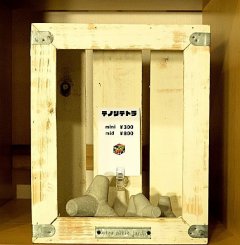 テノリテトラ追加分 年内入荷♪、お世話になったご近所さん