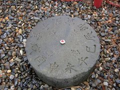 雨の年の瀬、噂のラッキーアイテム、テノリテトラのお年玉、タイムカプセル