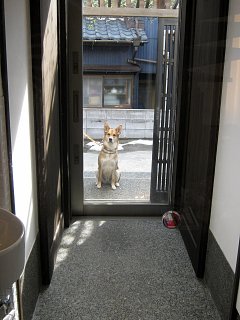 「日和山五合目」最新情報と今日のヒナ