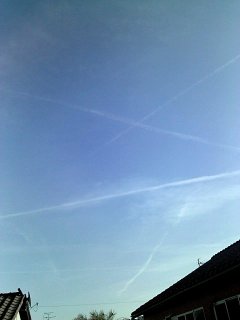 ポカポカ放牧日和、オーダー背守りTee ふくろう