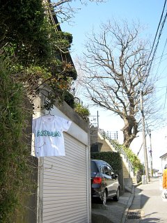 オーダー背守りTee for KENGO、新潟下町出身の女優さん