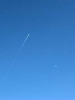 ポカポカ日曜日、ASYLUMインフォメーション