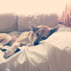 夏の終わり秋の始まり、画像編集アプリってスゴい！