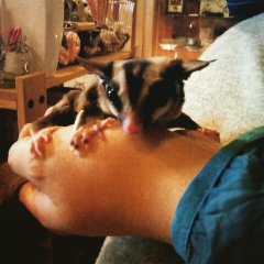 珍客来店！、最・深・単のオーダーTee for TAKE