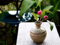 冬の入口、風邪にお気をつけ下さい