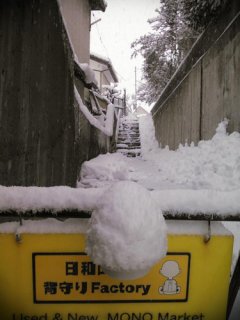 雪、猫、ヒナ、ひなせんべい、ホクセイマート閉店 .....