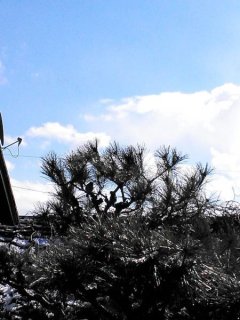 青空充電、介助が必要？、ﾖﾀﾞﾚ雪で固まる