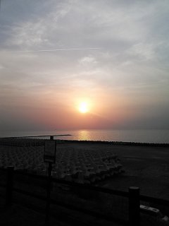 今日は雨だけど晴れの日を思い出して・・