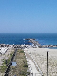 ASYLUM garden、日和山海岸情報、ヒナの挨拶