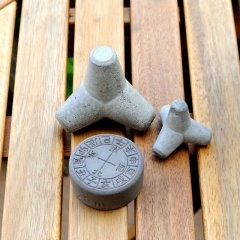 念願の方角石、親になったつもり？