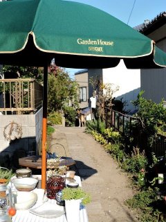 明日も開催！青空器市