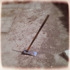 ヒナとカナヘビ、初の農具、春を感じて・・