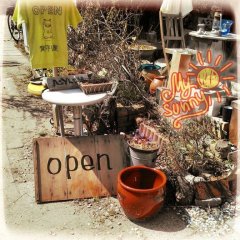 路地奥アグリ部・木工部始動、ひなのこと