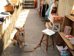 路地奥ガレージセール