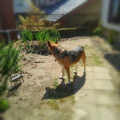 asylum Designers Mask 【 Type R 】完成品