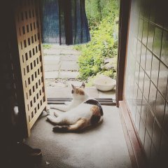 約1ヶ月・・