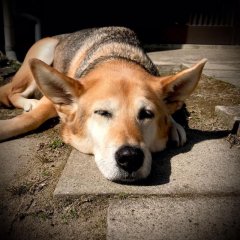 春が来てます♪