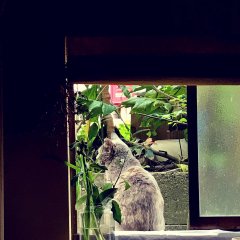 季節の境目と自律神経