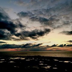 ミンミンゼミと30分のタイムスリップ