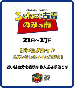 春の風物詩