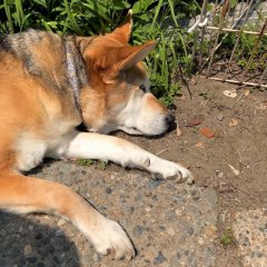 春らんまん、小っちゃなシアワセ・・