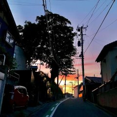 ボナぺTee、中央区の秘境 !?